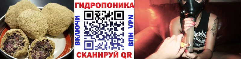 Печенье с ТГК марихуана  OMG tor  Дмитриев 