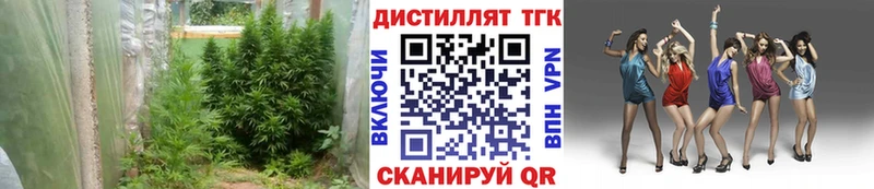 купить наркотики цена  Дмитриев  ТГК вейп 