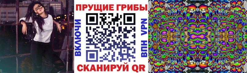 Галлюциногенные грибы Psilocybine cubensis  где купить наркоту  mega маркетплейс  Дмитриев 