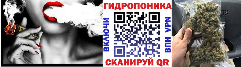 Конопля семена где найти Дмитриев